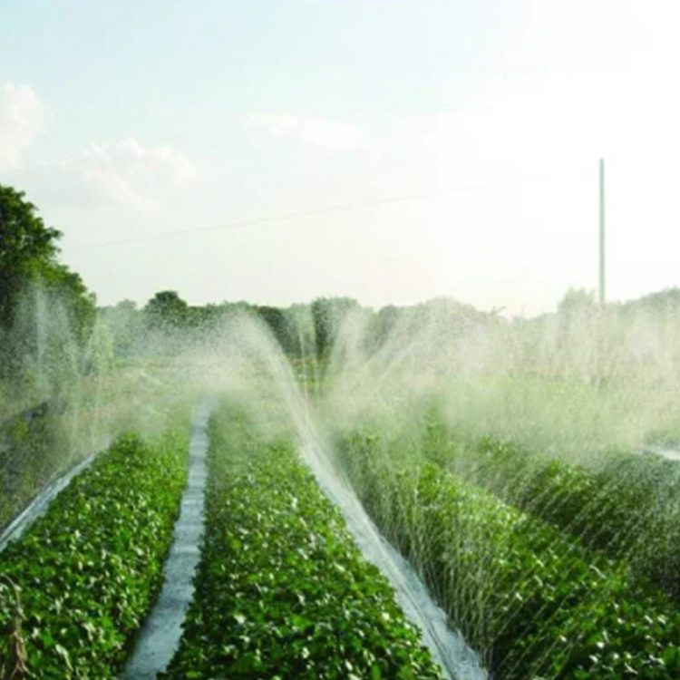 Micro drip irrigation tape