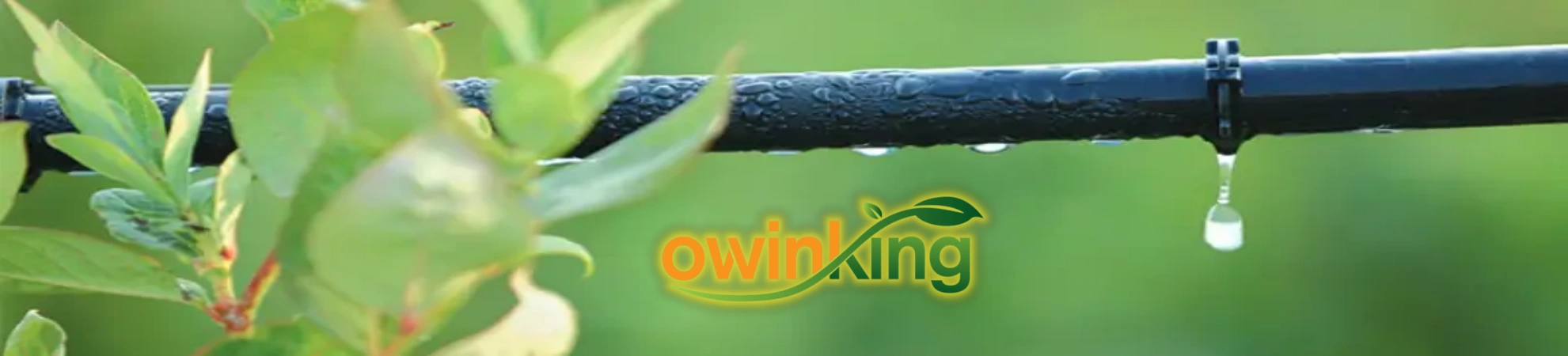 guy-blog-drip-irrigation-install