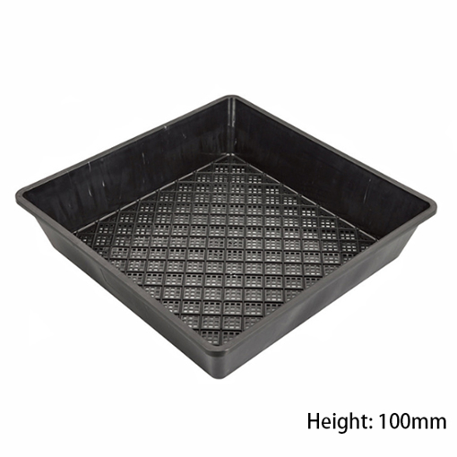Seed Sprouting Trays, 50-piece