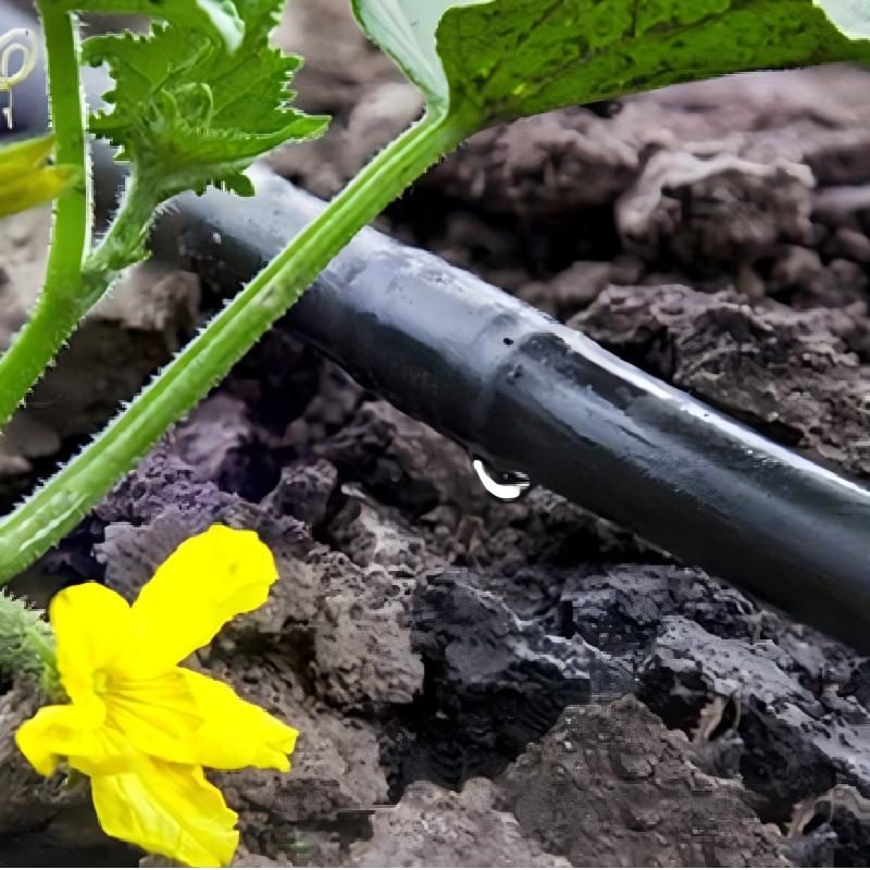 Drip irrigation pipe