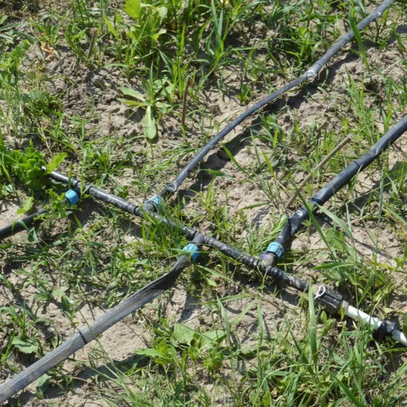 Components and Types of Drip Irrigation Systems