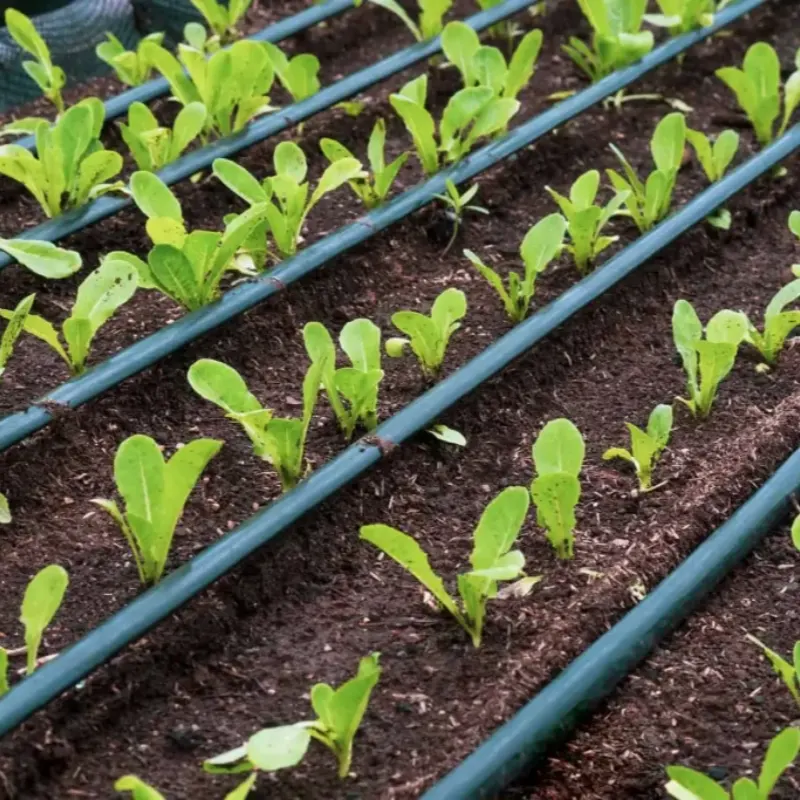 What is Drip Irrigation?